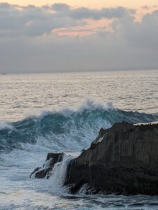 Meer