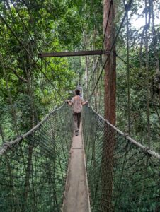 Canopy Walk